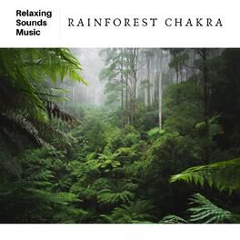 Album cover of Rainforest Chakra