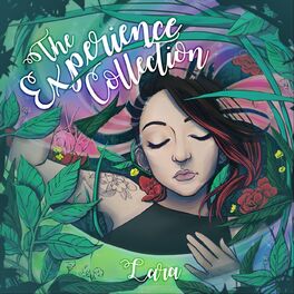 Album cover of The Experience Collection