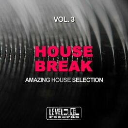 Album cover of House Break, Vol. 3 (Amazing House Selection)