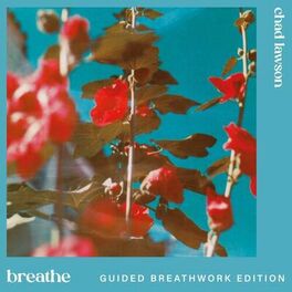 Album cover of breathe (guided breathwork edition)
