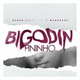 Album cover of Bigodin fininho (feat. O Mandrake)