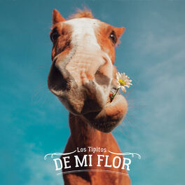 Album cover of De Mi Flor