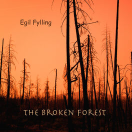 Album cover of The Broken Forest