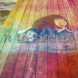 Album cover of 74 Sea Sanctuary
