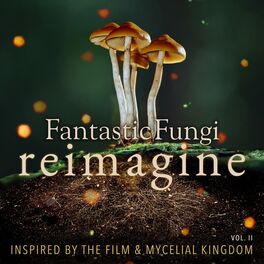 Album cover of Fantastic Fungi: Reimagine, Vol. II (Inspired by the Film & Mycelial Kingdom)