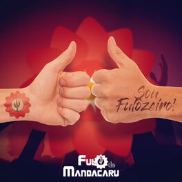 Album cover of Sou Fulôzeiro