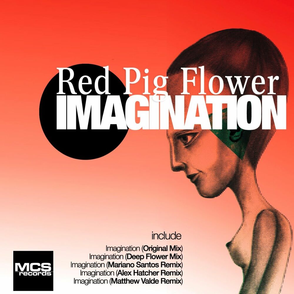Imagine deep. Red Pig. Imagination Flowers. Natasha Magenta Свинка.