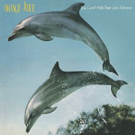 Album cover of You Can't Hide Your Love Forever