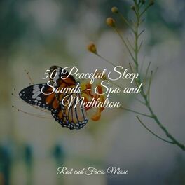 Album cover of 50 Peaceful Sleep Sounds - Spa and Meditation