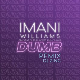 Album cover of Dumb (feat. Tiggs Da Author & Belly Squad) (DJ Zinc Remix)