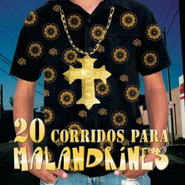 Album cover of 20 Corridos Para Malandrines
