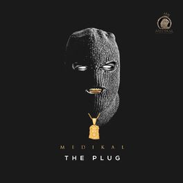 Album cover of The Plug