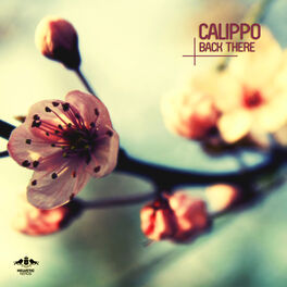 Album cover of Back There