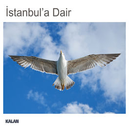 Album cover of İstanbul'a Dair