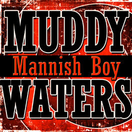 Album cover of Mannish Boy
