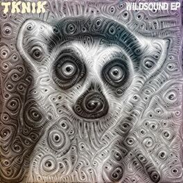 Album cover of Wildsound