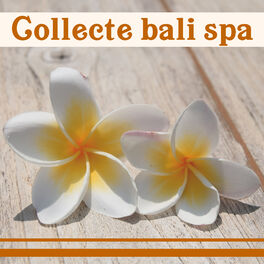 Album cover of Collecte bali spa (Musique paisible pour le massage, Bien-être, Détendez-vous profondément, Bonne humeur, Total du rep
