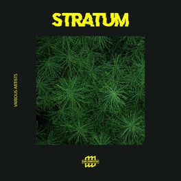 Album cover of Stratum