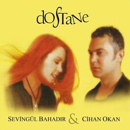 Album cover of Dostane
