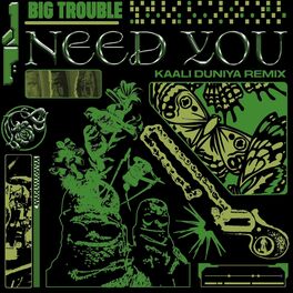 Album cover of Need You (Kaali Duniya Remix)