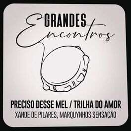 Album cover of Preciso Desse Mel / Trilha do Amor