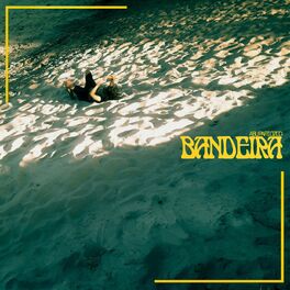 Album cover of Bandeira