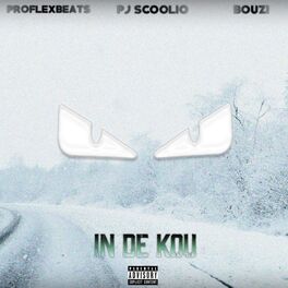 Album cover of In de Kou (feat. Bouzi & Proflexbeats)
