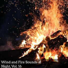 Album cover of Wind and Fire Sounds at Night, Vol. 16