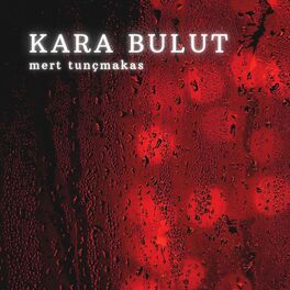 Album cover of Kara Bulut