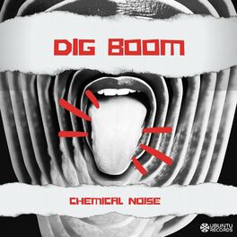 Album cover of Dig Boom