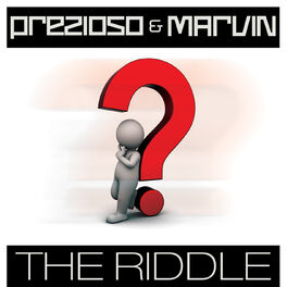 Album cover of The Riddle