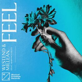 Album cover of Feel (feat. MarynCharlie)
