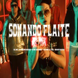 Album cover of Sonando Flaite (Remix)