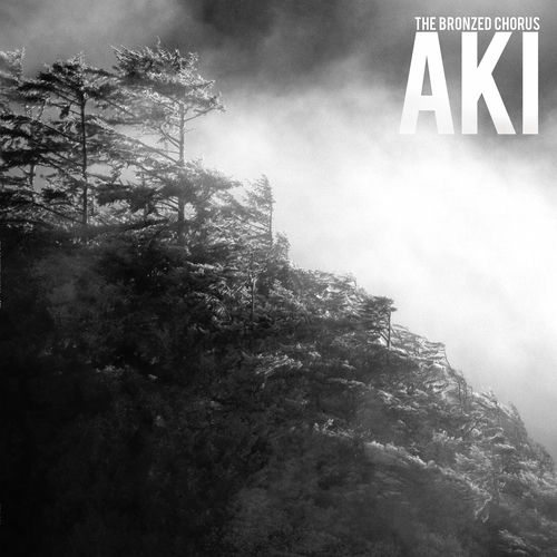 The Bronzed Chorus Aki lyrics and songs Deezer