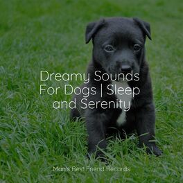 Album cover of Affirming Collection | Zen Mystical Spa For Dogs