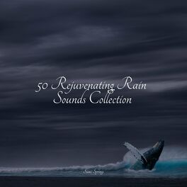 Album cover of 50 Rejuvenating Rain Sounds Collection