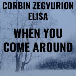 Album cover of When You Come Around (feat. Elisa)