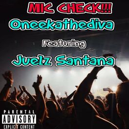 Album cover of Mic Check (feat. Juelz Santana)