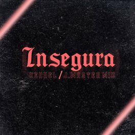 Album cover of Insegura