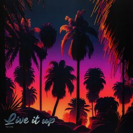 Album cover of Live It Up (Live)