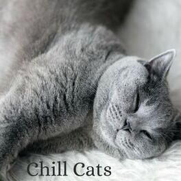 Album cover of Chill Cats