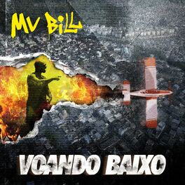 Album cover of Voando Baixo