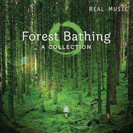Album cover of Forest Bathing