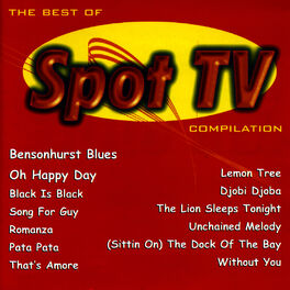 Album cover of Spot TV