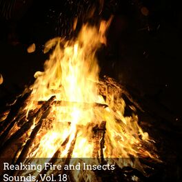 Album cover of Realxing Fire and Insects Sounds, Vol. 18
