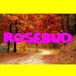 Album cover of Rosebud