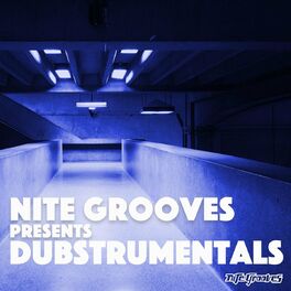 Album cover of Nite Grooves presents Dubstrumentals