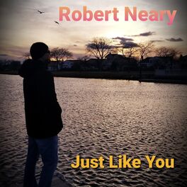 Album cover of Just Like You