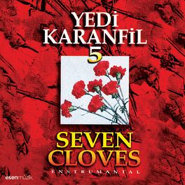 Album cover of Yedi Karanfil, Vol. 5 (Enstrumental)