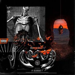 Album cover of Cocon